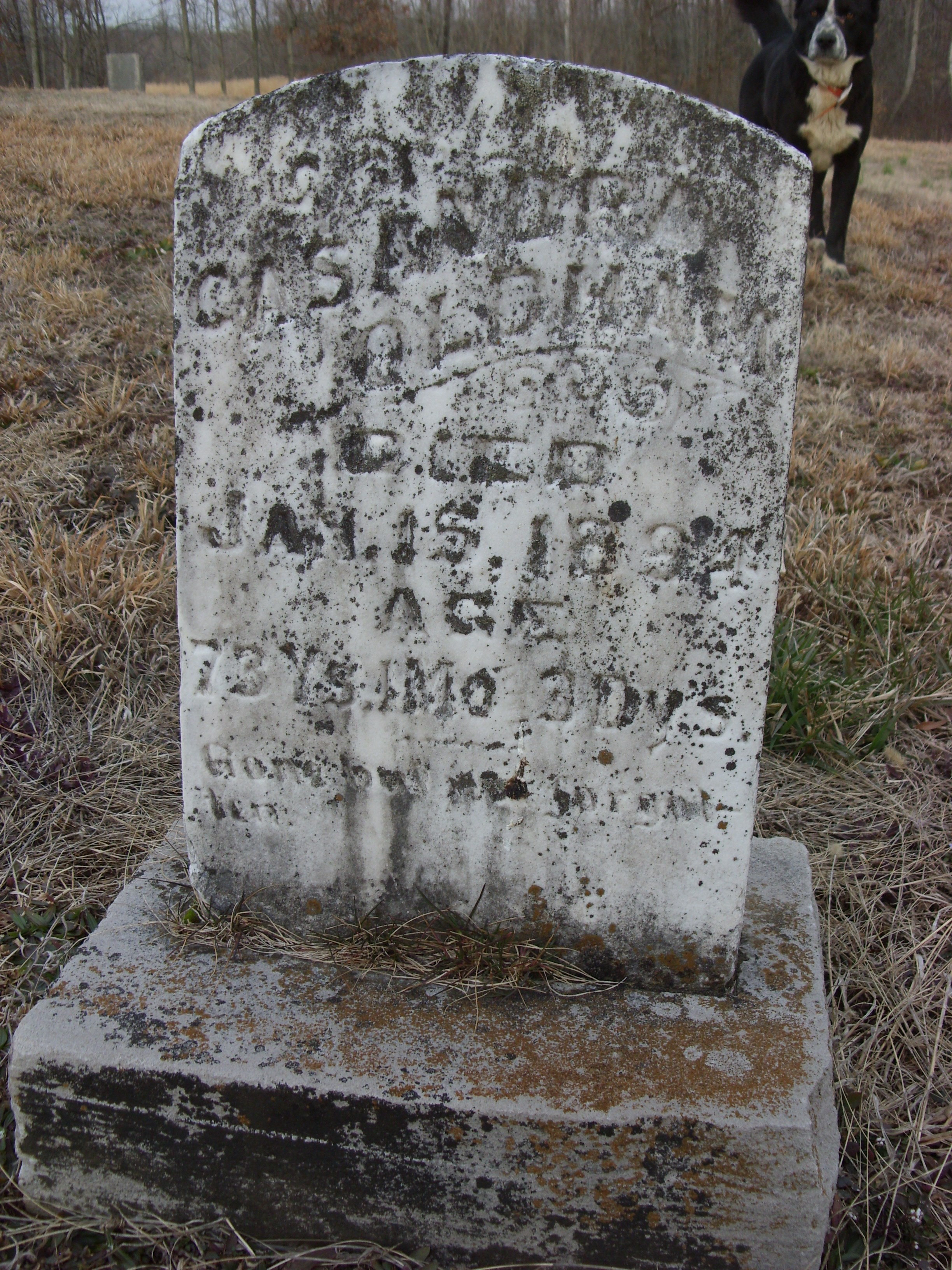 OLDHAM, CASANDRA DIED JAN 15 1894 AGE 73 YRS 4 MO 3 DAYS