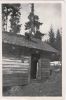 Erling on roof with harmonica.jpg